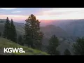 Trump administration moves ahead to repeal roadless rule on national forests