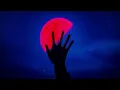 Phonkha x zecki Slaughter House (Official Music video)