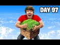 I Survived 100 Days on 1 Block
