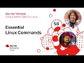 Essential Linux Commands Into the Terminal 58