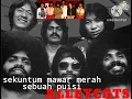 ALLEYCATS Sekuntum Mawar Merah Sebuah Puisi