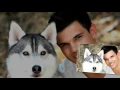 Taylor Lautner-Facts Bio Age Personal life