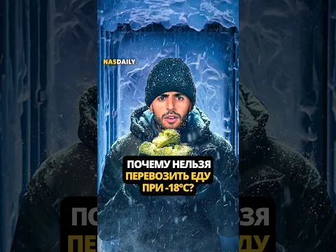 Почему не стоит перевозить замороженные продукты при -18°C