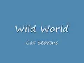 Wild World - Cat Stevens