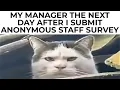 WORK MEMES