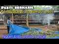 Download Lagu Cara Mudah Pembuatan Silase Rumput Odot Tanpa Mesin Pencacah
