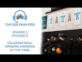 The Dolphin Pod - Season 3 Episode 9