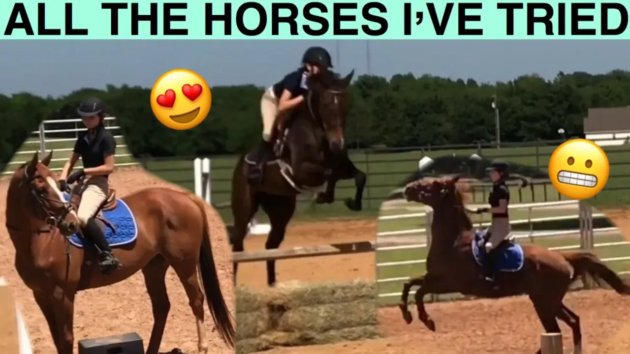 TRYING HORSES VLOG!! The good, bad, and ugly...