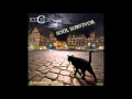 Download Lagu C C Catch - Soul Survivor Extended Version (re-cut by Manaev)