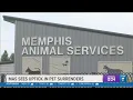 Memphis Animal Services sees increase in pet surrender requests due to evictions