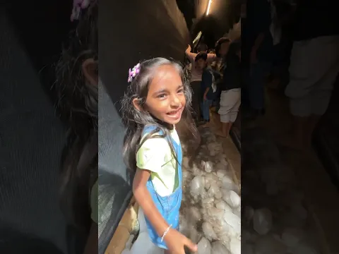 દિત્યા ગઈ બરફમાં ચાલવા ✨🤩#minivlog #gujrativlogs #cutebaby #jalpaahirvlogs #janmashtami
