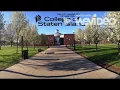 ELI - COLLEGE OF STATEN