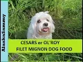 Cesar or Old Roy Dog Food Filet Mignon Taste test