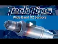 Wide Band O2 Sensors