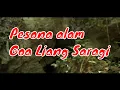 Download Lagu Pesona Wisata alam goa Liang Saragi di Kabupaten Barito Timur