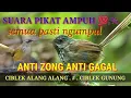 Download Lagu SUARA PIKAT CIBLEK ALANG ALANG JITU AMPUH ANTI ZONG ANTI GAGAL BIKIN RAME