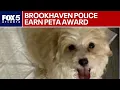 Brookhaven police earn PETA award for puppy rescue FOX 5 News