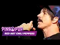 Lagu Red Hot Chili Peppers - Full Concert [HD] | Live at Pinkpop 2016