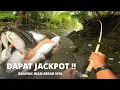 Lagu AKIBAT UMPAN MANCING TERLALU AMPUH .. !!IKAN BESAR PUN TERGODA UNTUK MAKAN 