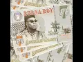 Collateral Damage - Burna Boy