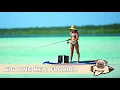 Best Things To Do in Big Pine Key Florida