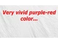 Very vivid purple red color CodyCross