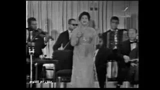هل رأى الحب سكارى مثلنا  لأم كلثوم دندنها