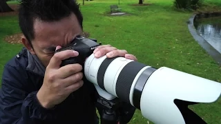 Sony a77 Mark II Review John Sison