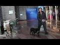Entering ARIA Resort Casino from self-parking and a furry guest who did not want to leave