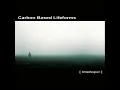 Carbon Based Lifeforms - Interloper