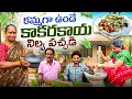 Lagu కమ్మని కాకరకాయ నిల్వ పచ్చడి || Bitter Gourd Pickle ||@telugufarmergopi 