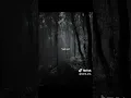 Download Lagu https://vm.tiktok.com/ZSHWxR1BEsw4o-axgjS/