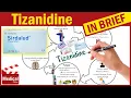 Tizanidine 4 mg Zanaflex What Is Tizanidine Used For Uses Dosage and Side Effects of Tizanidine