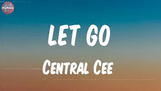central cee let go lyric video 