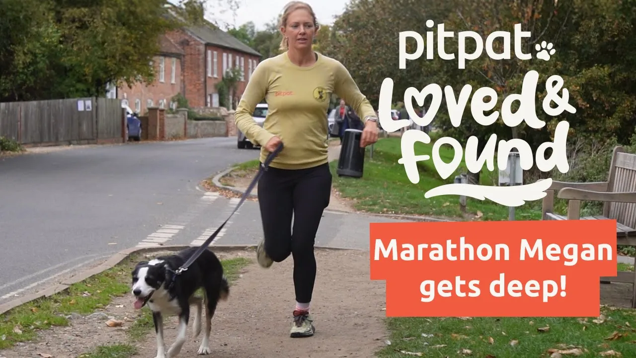PitPat — Pitpat Loved & Found — Woman Running with Dog (YouTube video ad)