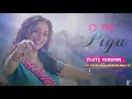 Flute Version: O Re Piya | Aaja Nachle | Salim-Sulaiman | Jaideep Sahni | Vijay Tambe