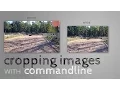 Crop images using the commandline