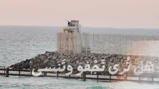 ذكرينا تحرير فلسطين غزة القدس عالم الاسلام 