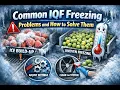 Lagu Common IQF Freezing Problems and How to Solve Them
