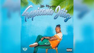 stilo magolide combo feat okmulumekoolkat riky rick usanele and mashayabuqe visualizer