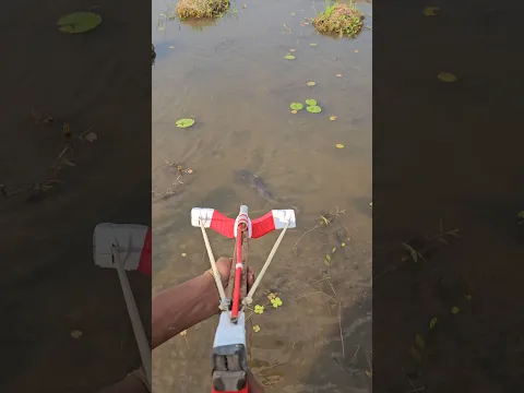 🏹 “Smart Crossbow Trick to Catch big Fish (Part_9) #crossbow #shorts