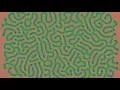 Reaction Diffusion Art 2024 09 25 4k