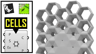 Hexagonal Cell Modeling in Grasshopper
