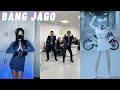 Download Lagu AMPUN BANG JAGO REMIX Funny Dance Challenge | Tik Tok Compilations