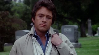 the lonely man theme from the incredible hulk 