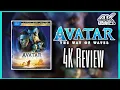 Is It Better Than Disney Plus Max AVATAR THE WAY OF WATER 4K Review Alex Thomas Reviews