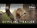Magic of Disney s Animal Kingdom Trailer Disney