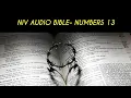 NUMBERS 13 NIV BIBLE with text