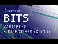 Botisimo Bits Variables Directives