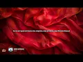Blessd - BARRIO ANTIOQUIA 2 | Letra